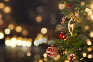 Коледа и Нова година в България