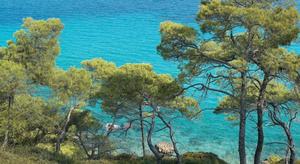 Pella Beach
