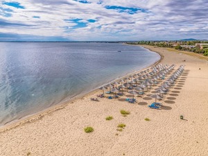  Across Coral Blue Beach