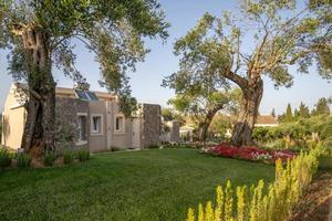 Аrt Hotel Debono