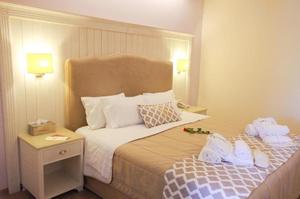 Аrt Hotel Debono