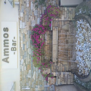 Anthemus Sea Beach and SPA